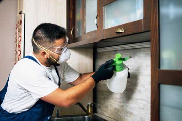Best Emergency Pest Control  in Sussex, NJ